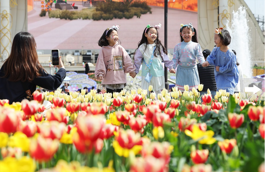 韩国爱宝乐园举办郁金香节