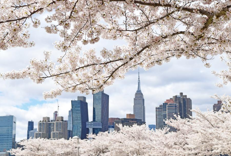春到纽约