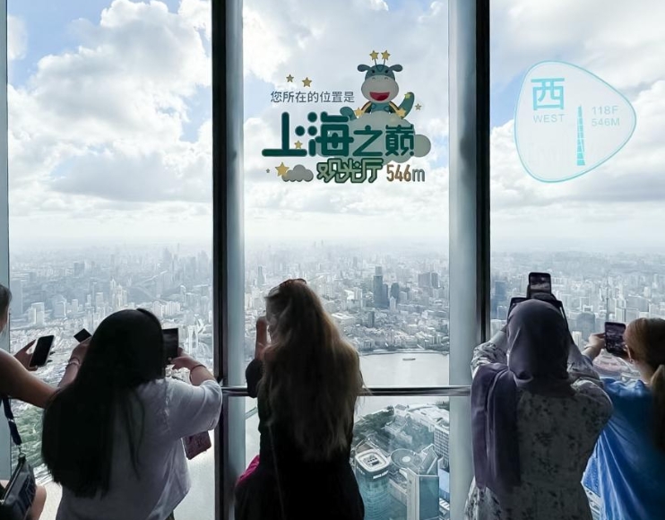 “洋网红”打卡上海