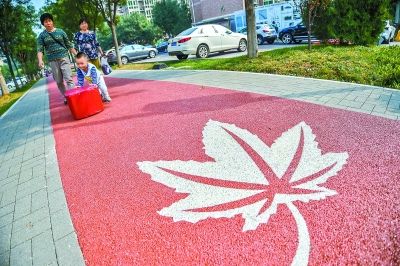 北京首批老旧小区开启“海绵化”改造