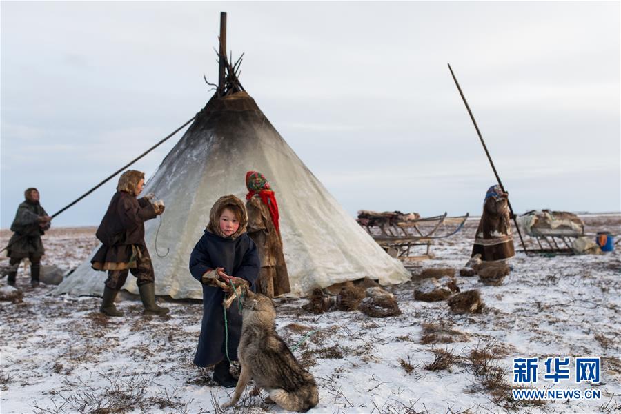 涅涅茨人——“冰上丝路”沿线的驯鹿牧民