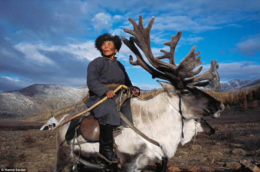 难得一见的蒙古游牧民族的迷人生活 人与野兽相伴相生