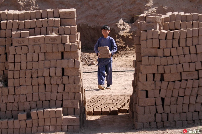 上不起学的搬砖童年 阿富汗砖窑童工