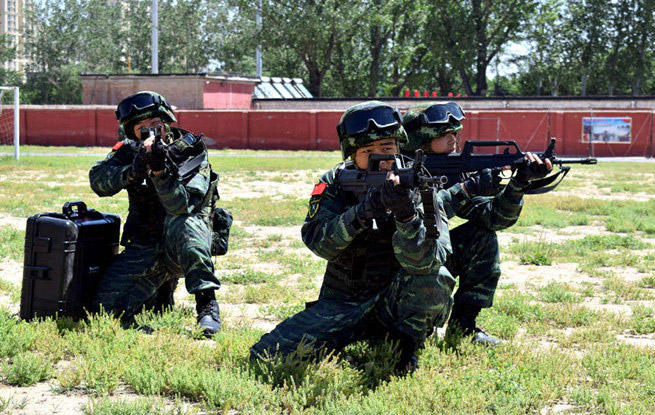 武警北京总队执勤第十支队严密组织战备拉动演练