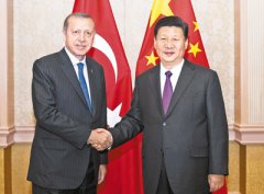 习近平会见土耳其总统埃尔多安
