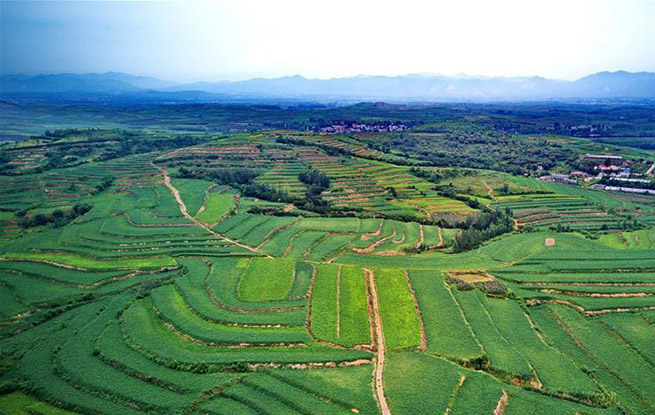 河北卢龙：“坡改梯”让贫地变沃土