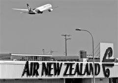 返航新西兰航班抵达上海 向旅客发920元购物券致歉