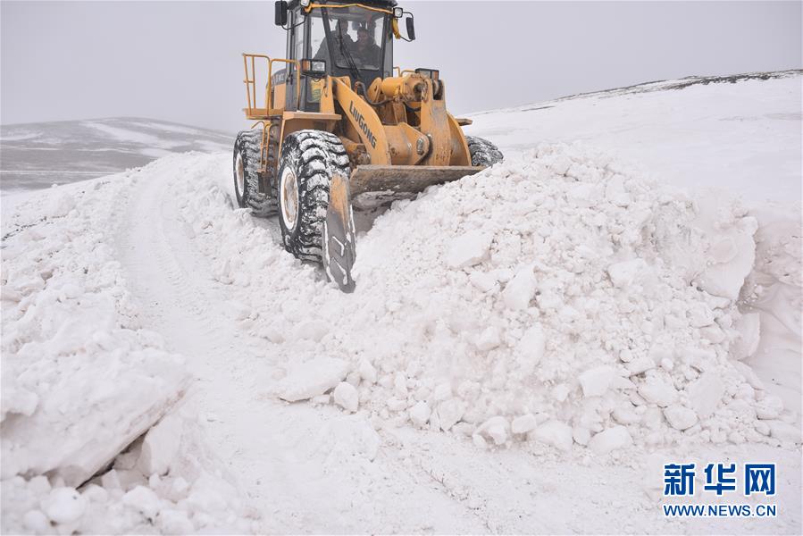 情聚江源 千里驰援——京豫川等地援助青海玉树雪灾区