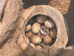 溧阳春秋古墓发掘惊人发现一罐鸡蛋 藏了2500年