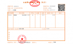 支付宝开出个人捐赠电子发票 提升机构透明度及公信力