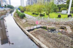 护城河水污染严重