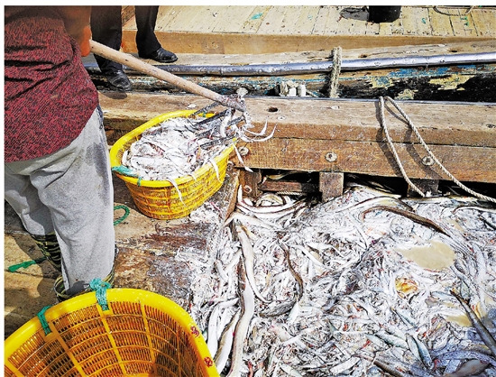 直击温州禁渔期非法捕捞现象