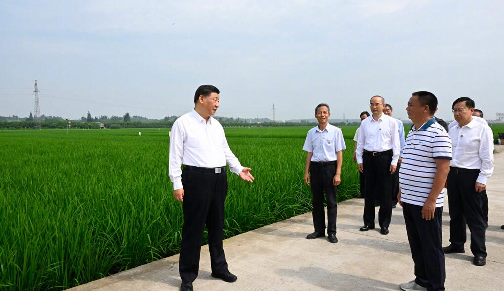 习近平在四川眉山市考察调研