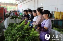 “甘味”菜园子越闯越勇